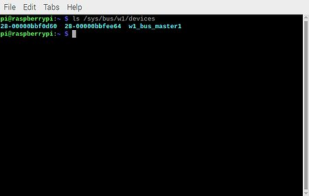 Raspberry Pi - 1wire devices