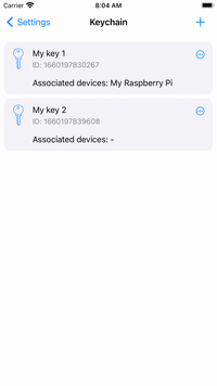 RaspController - Keychain